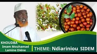 La relation entre l’homme et l’arbre - ndiarinu siddeem