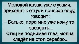 Как Казак Мужиком Стал! Сборник Свежих Анекдотов! Юмор!