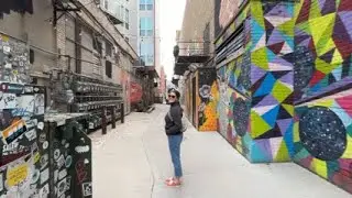 Black Cat Alley - Milwaukee, WI Murals