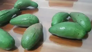 AVOCADO#avocado#yummy#herbertgoldenboy#price