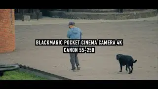 BMPCC 4K + Canon 55-250 | VideoArt | 60fps | #BMPCC4K
