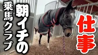 乗馬クラブの朝イチの様子。※中年男性がダラダラ話してます。