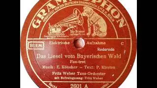 Das Liesel vom Bayerischen Wald   Fritz Weber