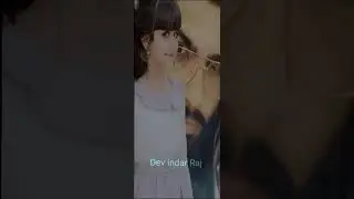 present dev bro (5)