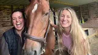 Getting Horse Physio #horse #equestrian #horses #explorepage #riding