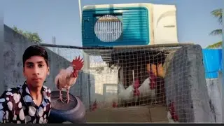 Sultan ki team 🐓 ka house 🏠