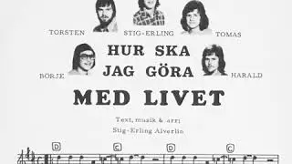 s&aring;nggruppen meningen - meningen med livet