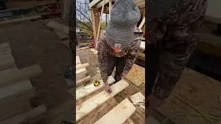Gang cutting studs from @wallstreetframers on tik tok. Check them out! #carpentry #renovation #build