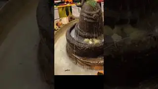 शिव रुद्राभिषेक #rodra #shiv