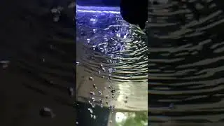 Aquarium Filter Flow @ Petzlifeworld Hang on Filter