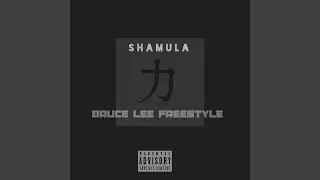 Bruce Lee Freestyle