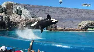SeaWorld Full Video 