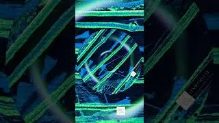 Root - Shinigami [SRW073] #minimalhouse #minimal #microhouse