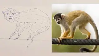 Funny monkey drawing 🐒😬🤣