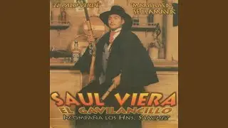 El Palo Verde