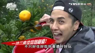 【三義】山那邊‧綠葉方舟 苗栗森林餐廳 食尚玩家 來去住一晚 20160224 (1/6)