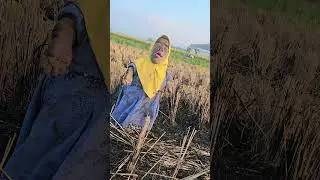 INDIAHE KUY #funny #libur #daylilife #comedy #serunya #liburan #lucu #ayam #pantai #bareng