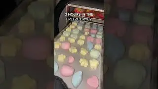 Who else loves Lucky Charms marshmallows?! 😋🍭 #luckycharms #freezedriedcandy #shorts