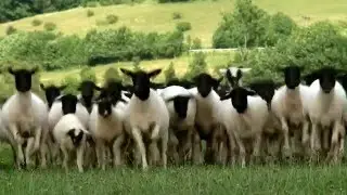Umweltbildungsst&auml;tte Oberelsbach - Unser Film