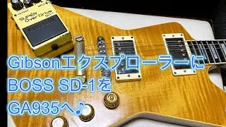 GibsonエクスプローラーにBOSS SD-1をGA935へ♪[辺見さとしの3分間ギタートーキング♪]20241011