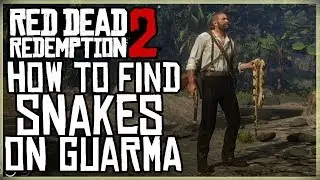КАК НАЙТИ ВСЕХ ЗМЕЙ В ГУАРМЕ - RED DEAD REDEMPTION 2 ГЛАВА 5 ИССЛЕДОВАНИЕ ОСТРОВА