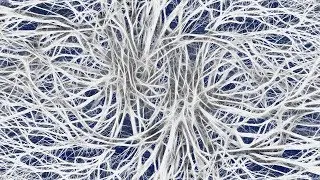 Central Nervous System Diseases Rife Treatment | Binaural Beats Session - Sound Healing Therapy
