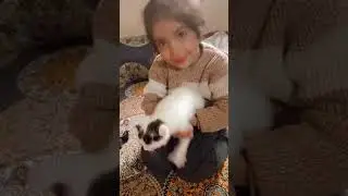 There is no pure change in mother's life.#plzsubscribemychannel#catsvideo #lovelycats #kitten 🐱#baby