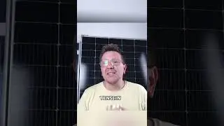 Qu&eacute; es un TRANSITORIO❓🤯