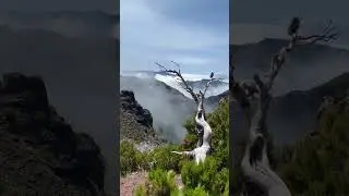 📍Pico Ruivo, Madeira, Portugal 🇵🇹