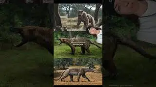 медвежьи собаки?? медвежьи собаки