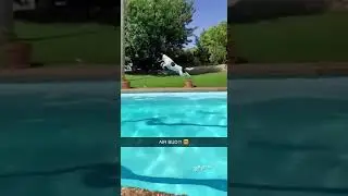 The dog took flight 😳