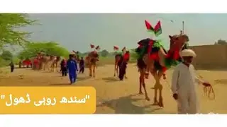 ROHI Dhool | Special Sindhi Dhool Bean #dhool #dhoolbean روہی چولستان ڈھول