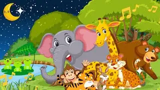 The Animal Band