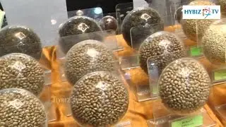 Indian Institute Of Oil Seeds National Seed Congress