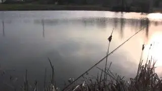 Fly fishing for panfish, topwater