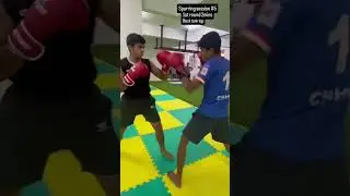 Ep #5 Road to pro: Sparring session without headgear #caneloalvarez #boxing #fight #sparring