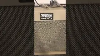 Megatone Wezo ME-18 Harmonica Amplifier Demo