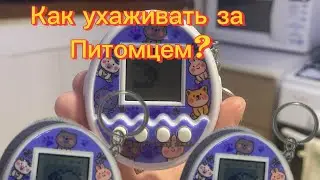 Как же ухаживать за питомцем в тамагочи