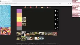 Ranking EVERY Rodent Species!! Live! from the rat's nest