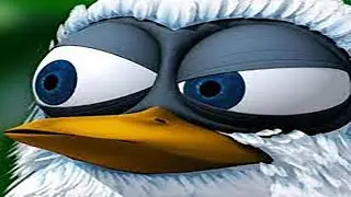 Screaming Bird 10 HOURS