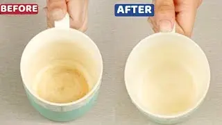Remove Tea Stains from China Cups in Dishwasher Easily &ndash; House Keeper