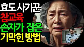 효도 사기꾼 참교육! 손자가 놈들을 잡은 기막힌 방법 | 감동사연 | 노후사연
