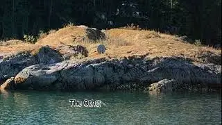 A Night of Terror at Refuge Cove, British Columbia