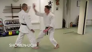 5.kyu: Shomen uchi ikkyo