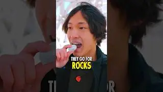 The Country where People Eat Rocks 🪨