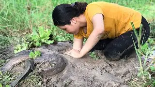 Vietnamese girl builds unique Easy Fish Trap System @chuyenmaonglao94tuoi - Ep12
