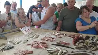 ÖZDERE MEZATI / EN GÜNCEL BALIK FİYATLARI / #fish #mezat #balık