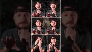 Evolution of Pokemon Rivals (acapella)