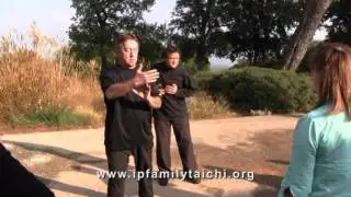 Snake Style Tai Chi -  Robert Boyd