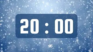 20 Minute Timer | With Alarm Bell & No Music | Winter Falling Snowflakes Theme ❄️